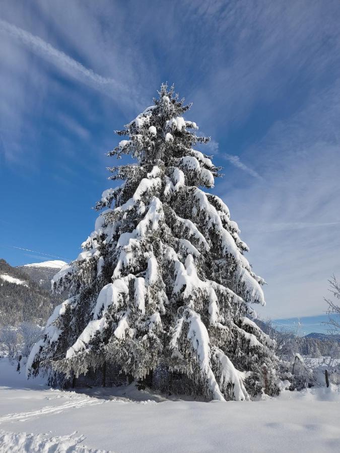 Gasthof Zur Schmiede Berg im Drautal Extérieur photo